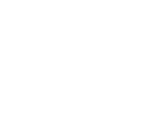 Premier Business Centre Logo WHITE