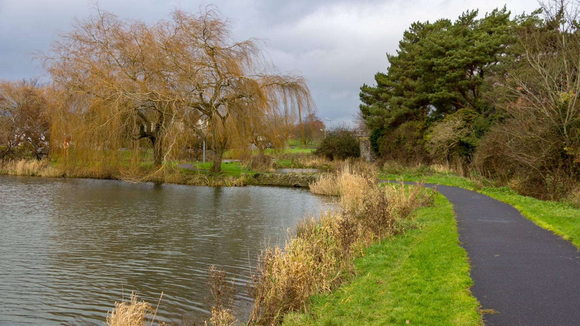 Naas Canal near the Osprey Hotel and Business Centre