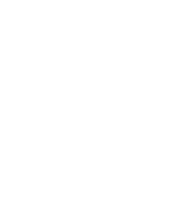 Premier Business Centre White Logo (MO)