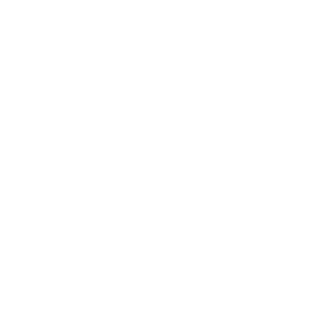Premier Business Centre White Logo (SO)