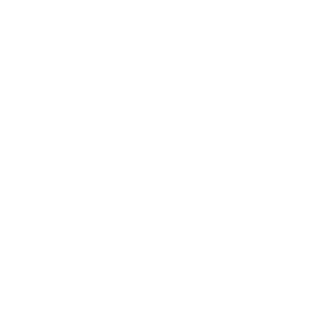 Premier Business Centre White Logo (VO)